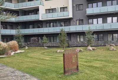 Proprietar, inchiriez spatiu pentru birouri si sala sedinte,150 mp+balcon+depoz. - 12