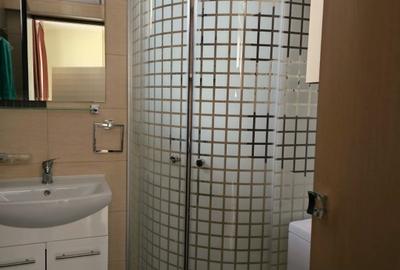 Garsonieră mobilata si utilata + terasă 30 mp, Ștefan cel Mare – Parcul Circului - 4