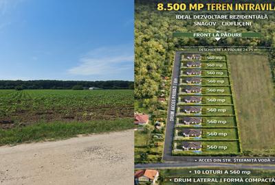 8.500 mp dubla deschidere- la str. Stefanita Voda si la padure Ciofliceni/Snagov - 2