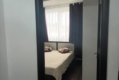 Apartament 2 camere tip studio Brazda regia de tutun - 13