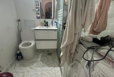 Vanzare apartament 3 camere Drumul Taberei Raul Doamnei - 3