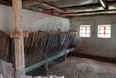 Vanzare casa  4 camere-microferma, cu panouri fotovoltaice - 27