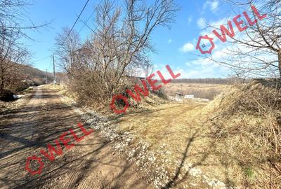 Teren parțial intravilan de vânzare în Pădureni, pe strada Argilei! - 8