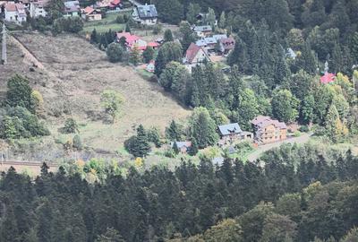 TEREN PENTRU DEZVOLTARE SINAIA-CUMPATU Str. Zamora-9.801 mp-Comision 0% - 30