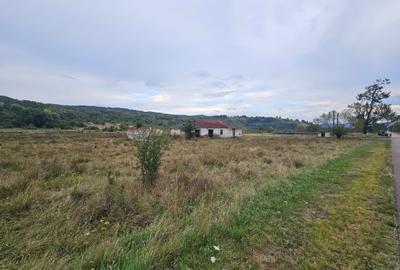 Teren localitatea Petris, Arad - 4