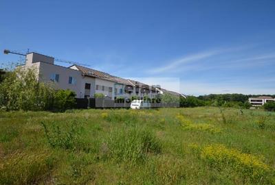 Voluntari - Matei Millo Teren 420 Mp Utili, Deschidere 14 Ml - 3