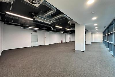 Spatiu birou semicentral Iasi, 200mp, zona Palas - Podul de Piatra - 13