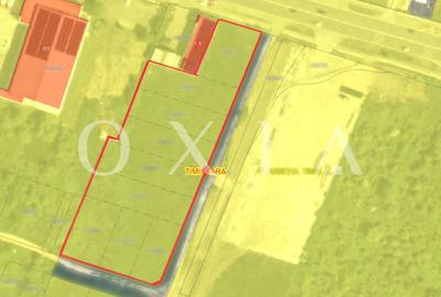 OX698 Oportunitate Investitie , 8036 MP, Buziasului-Hornbach. - 2