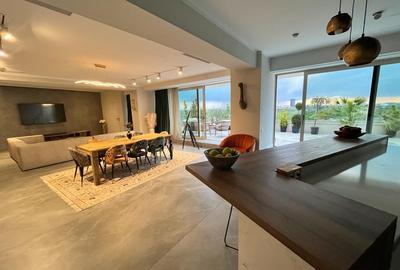 Penthouse pe 2 etaje  lângă  Herastrau,2 terase,2locuri de parcare - 3