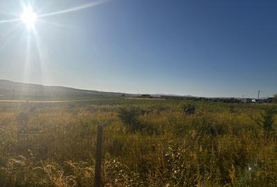 Teren Intravilan 5100 mp Sieu Magherus - 1