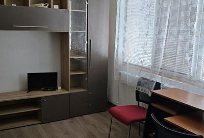Apartament cu 2 camere nedecomandat, mobilat în Șagului
