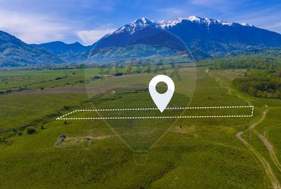 Teren 1ha, extravilan Rasnov / Agricultură sau fermă/ COMISION 0% - 1
