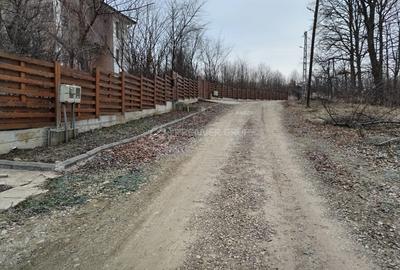 Teren intravilan 975mp, Bârnova, dispune de utilități - 1