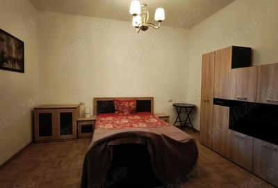 Apartament de vanzare Centrul Vechi - 10