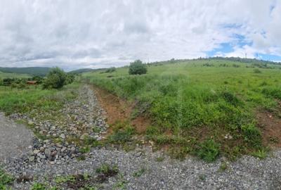 Terenuri de vis în Salicea – Investiția perfectă sau locul ideal pentru casa ta. - 1