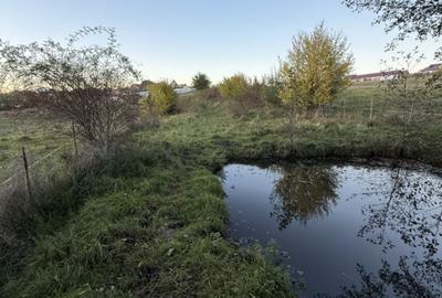 Teren extravilan de vanzare in Salicea 916mp+84mp drum necesită PUZ - 3