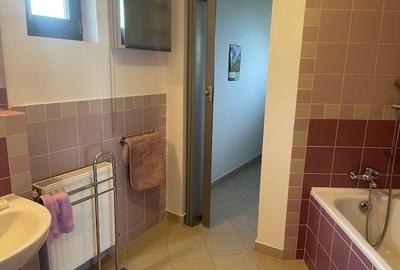 VILA INDIVIDUALA   P+1   PIPERA   DRUMUL BISERICII   1350MP TEREN - 19