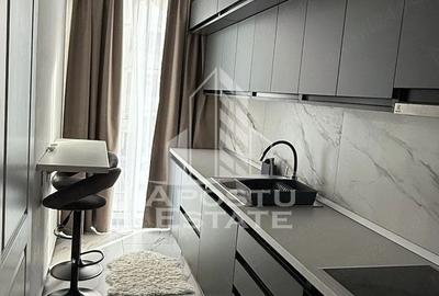 Apartament cu 1 camera de inchiriat, Timisoara zona Torontalului - 4