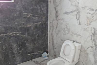Casa noua de vanzare Pantelimon, 4 camere, teren 300 mp, maxi-taxi 900 m - 14