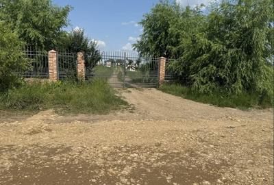 TEREN INTRAVILAN DE VÂNZARE – 3.015 MP – TUNARI– IDEAL INVESTIȚIE,DEZVOLTARE - 6