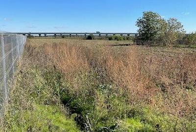 Teren in Moara Vlasiei, 10 min de Bucuresti, toate utilitatile! - 1