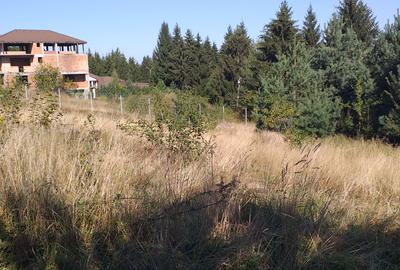 Teren Sacele zona de relaxare pretabil investitie - 2