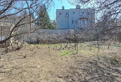 Calea Calarasi - Agricultori, 569 mp, pretabil investitie, comision 0% - 1