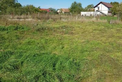 Teren Intravilan Becicherecu Mic In Vatra Satului,1000 mp,Fs. 14m - 4