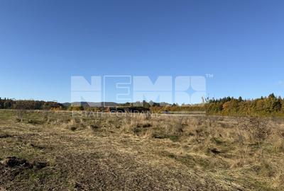 Teren intravilan | Horodnic de Sus – zona Tecioara | 2.900 mp - 4