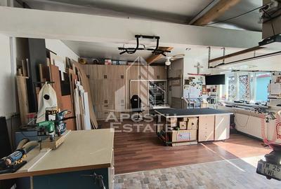 Casa cu sediu firma, atelier si apartament separat Mosnita Noua - 25