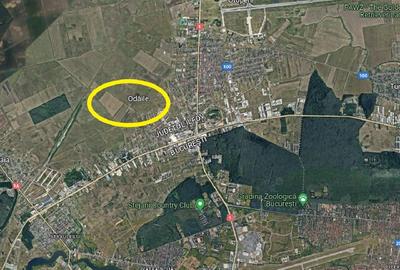 Teren extravilan 13.500 mp Otopeni - 2