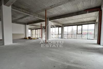 Spatiu comercial 1000 mp utili+ 15 locuri parcare,  zona Torontalului - 3