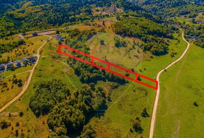 Teren Rasnov, Valea Panicelului 4253mp, izvor pe teren - 6