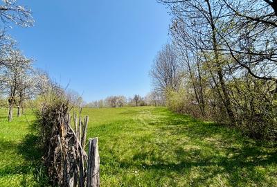 Teren 3.800 mp | Pucioasa, Dâmbovița | Natură, liniște și acces dublu - 2
