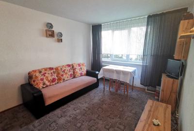 Garsoniera de inchiriat zona Parcului Eminescu - 1