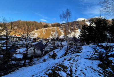 Teren intravilan Simon/Bran, 4318 mp , casuta intabulata, utilitati - 15