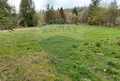 Poienita 2800mp, Covasna, zona hotel Clermont, inconjurat de padure - 18