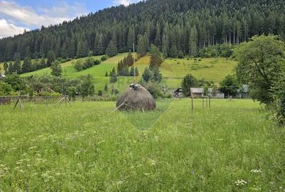 Casa 225 mp, teren intravilan 4822 mp C. Moldovenesc, Suceava - 29