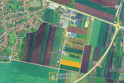 Teren pentru investiție în Vladimirescu, Arad – 20.000 mp - 1