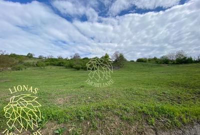 Teren Extravilan - Ghinda - 3.5000mp-Parcelabil - 1