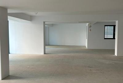 Eminescu Offices – Birouri clasa A de inchiriat pe Strada Mihai Eminescu- Romana - 16