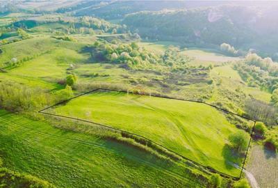 Teren de 9.500 mp in Maramures | Varf de deal, priveliste de pus in rama | Retre - 5