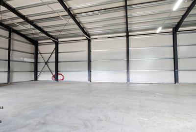 Complex imobiliar:cladire birouri,2 hale noi si 3424mp teren, Piatra Neamt - 11