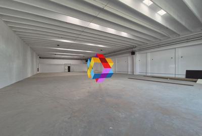 Spatiu comercial - 500 mp - 3