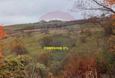 Teren de vanzare 68.463 mp Popesti Extravilan Potential rezidential - 1