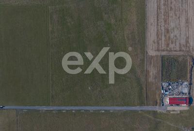 Teren 11.600 mp – Râșnov, zona Tabăra, 230 m de DN 73 - 10