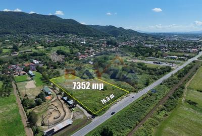 Teren intravilan 7352 mp, cu Deschidere 76.3 m la Șoseaua Națională - Cicârlău - 5