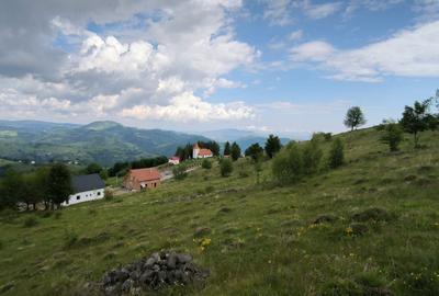Teren Rogojel 15.000MP 8 EURO/MP - 2