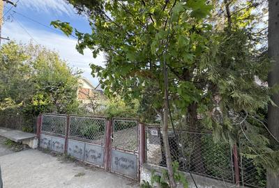 Casă cu teren Tifesti / Sarbi - 10