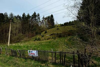 Teren extravilan de 10290 mp, în Șinca Nouă